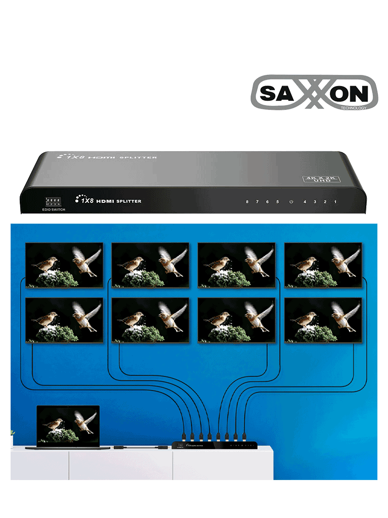 SAXXON LKV318HDR-V2.0 - Divisor de Video HDMI  de 1 Entrada y 8 Salidas/ Soporta Resolución Ultra HD 4K&2K @30 Hz/ Distancia  de 10 Metros en Entrada y Salida/ Switch EDID/